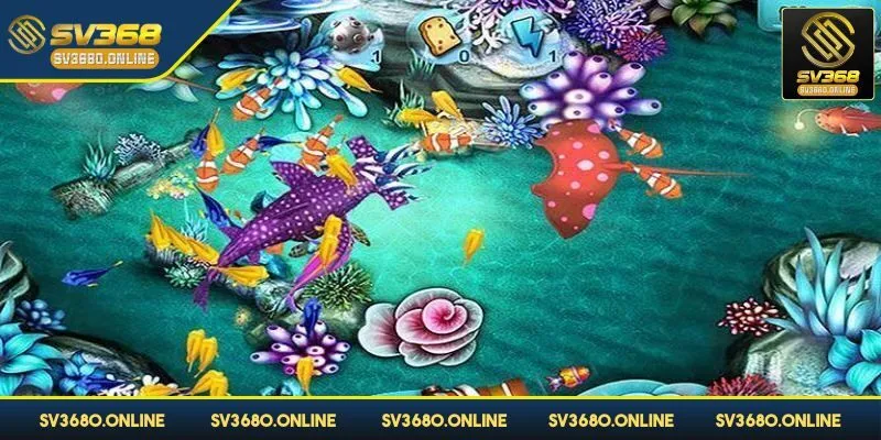 Bắn cá tiên cá - Khám phá cuộc phiêu lưu lý thú tại SV368 4 Bạn cần chọn thời điểm đi săn thích hợp nhất