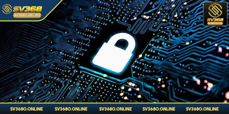 Chính sách bảo mật SV368: Tiêu chí đảm bảo an toàn thông tin 1 SV368 cam kết hoạt động hoàn toàn hợp pháp