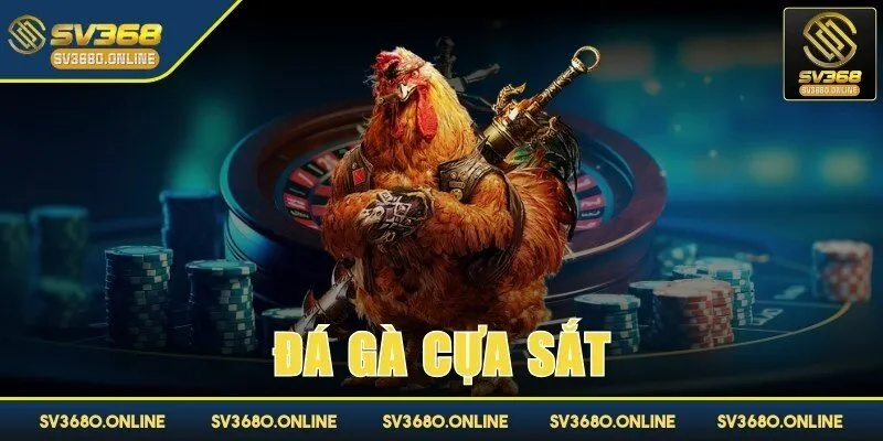 da ga cua sat anh dai dien