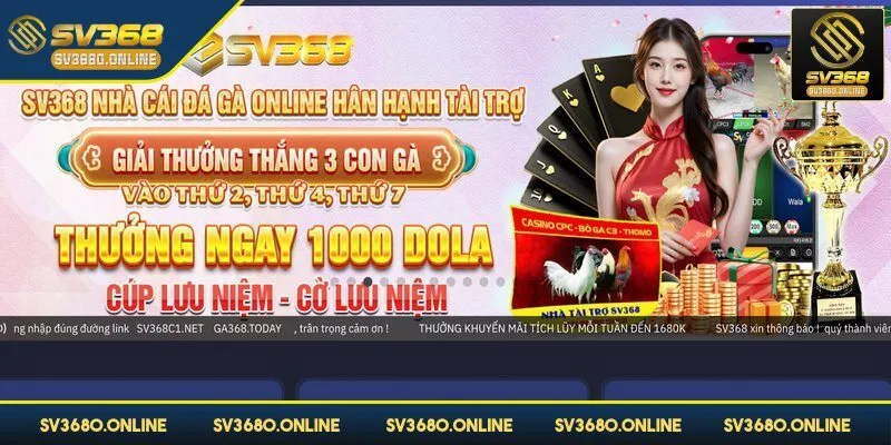 Tham gia đá gà tại SV368 chỉ trong 3 bước