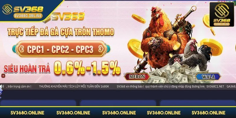 Đá gà SV368 mang đến một đấu trường kịch tính