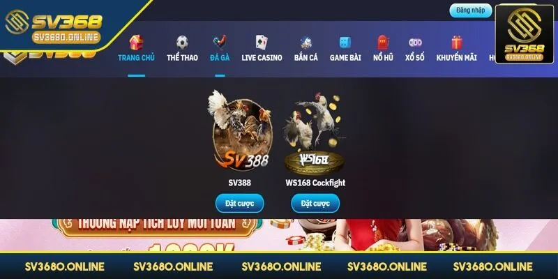 Bạn cần đảm bảo đường truyền ổn định khi đăng nhập